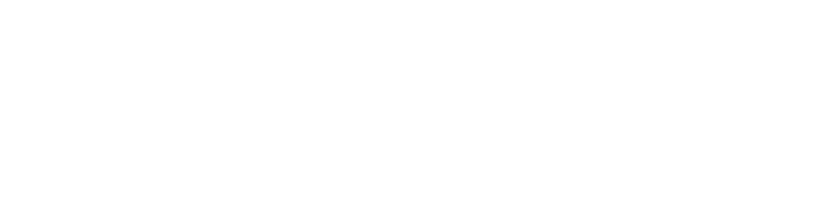 Kund logotyp: landspitali